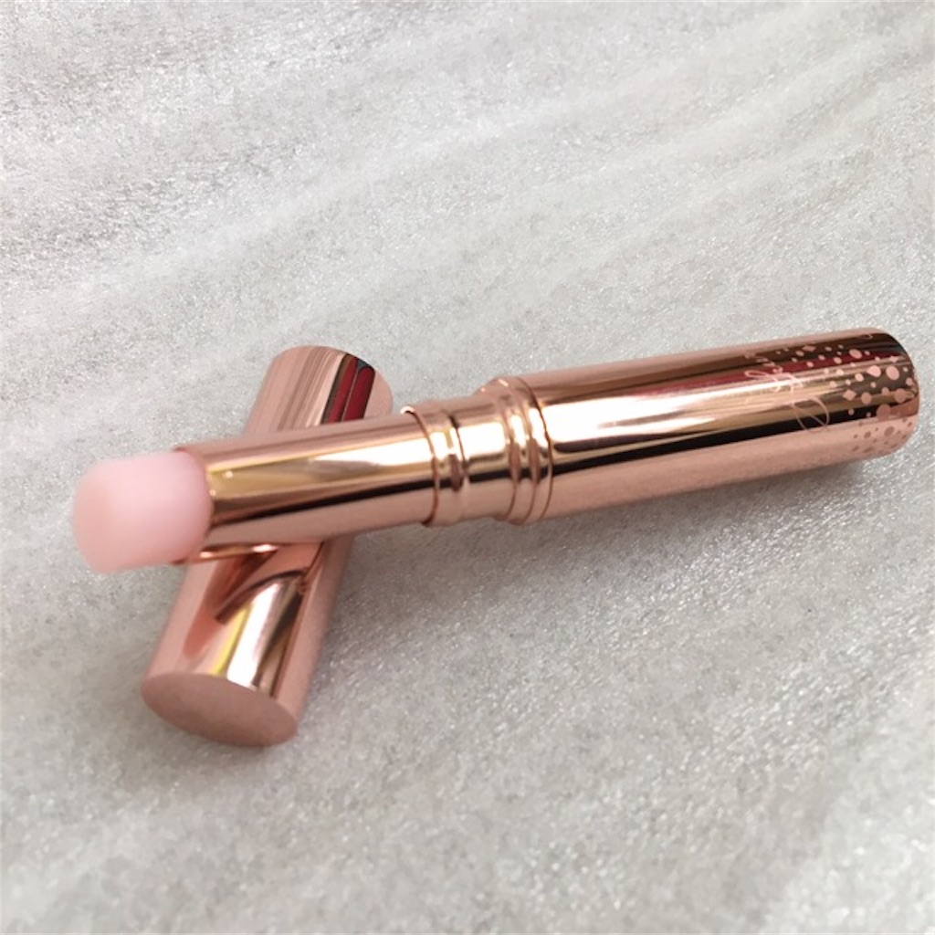 f:id:campiku:20181025110233j:image