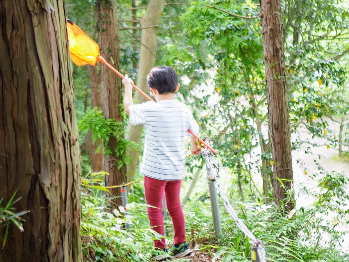 f:id:campiku:20190530212658j:plain